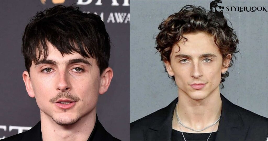 Timothee Undercut Haircut